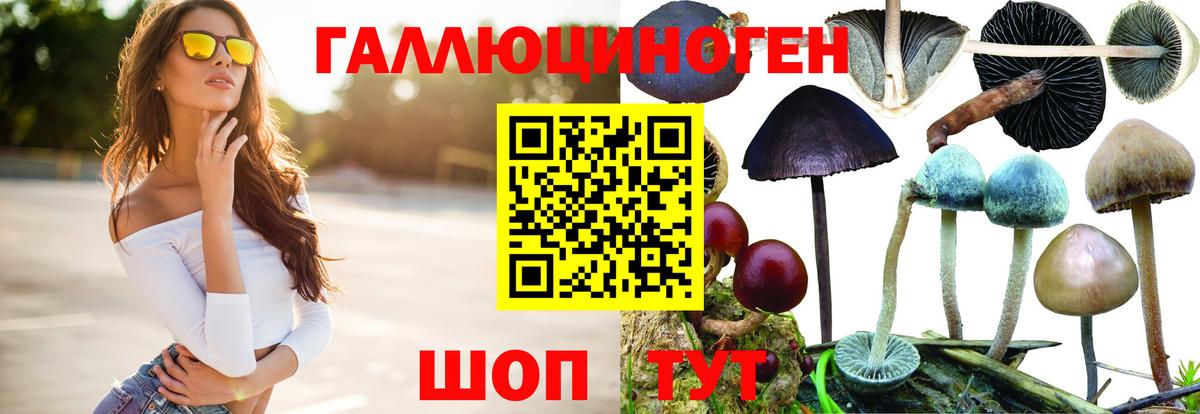 Галлюциногенные грибы мицелий Орёл
